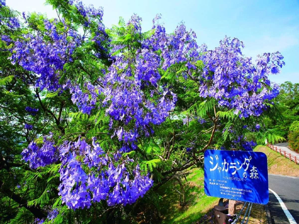 Nichinankaigan Nango Prince Hotel Экстерьер фото